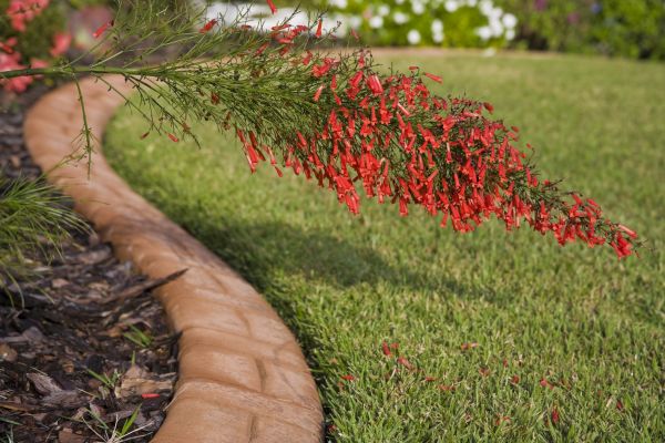 Brick Edging in Glenview