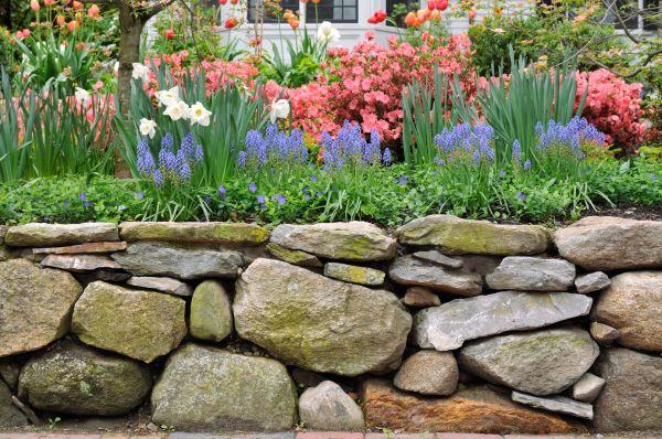 Stone Wall Hardscaping in Glenview