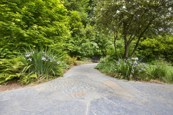 Stone Hardscape Service in Glenview
